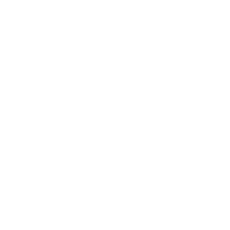 Penguin Custom Shop